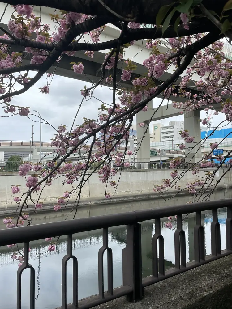 2026年4月13日の写真